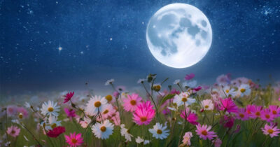 Libra Full Moon, April 2025: A Gentle Pink Full Moon | Daykeeper